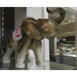 Dux Elephant