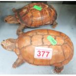 2 Taxidermy Tortoise