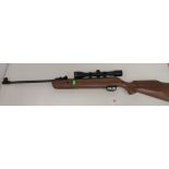 SMK 19 .22 air rifle with sights