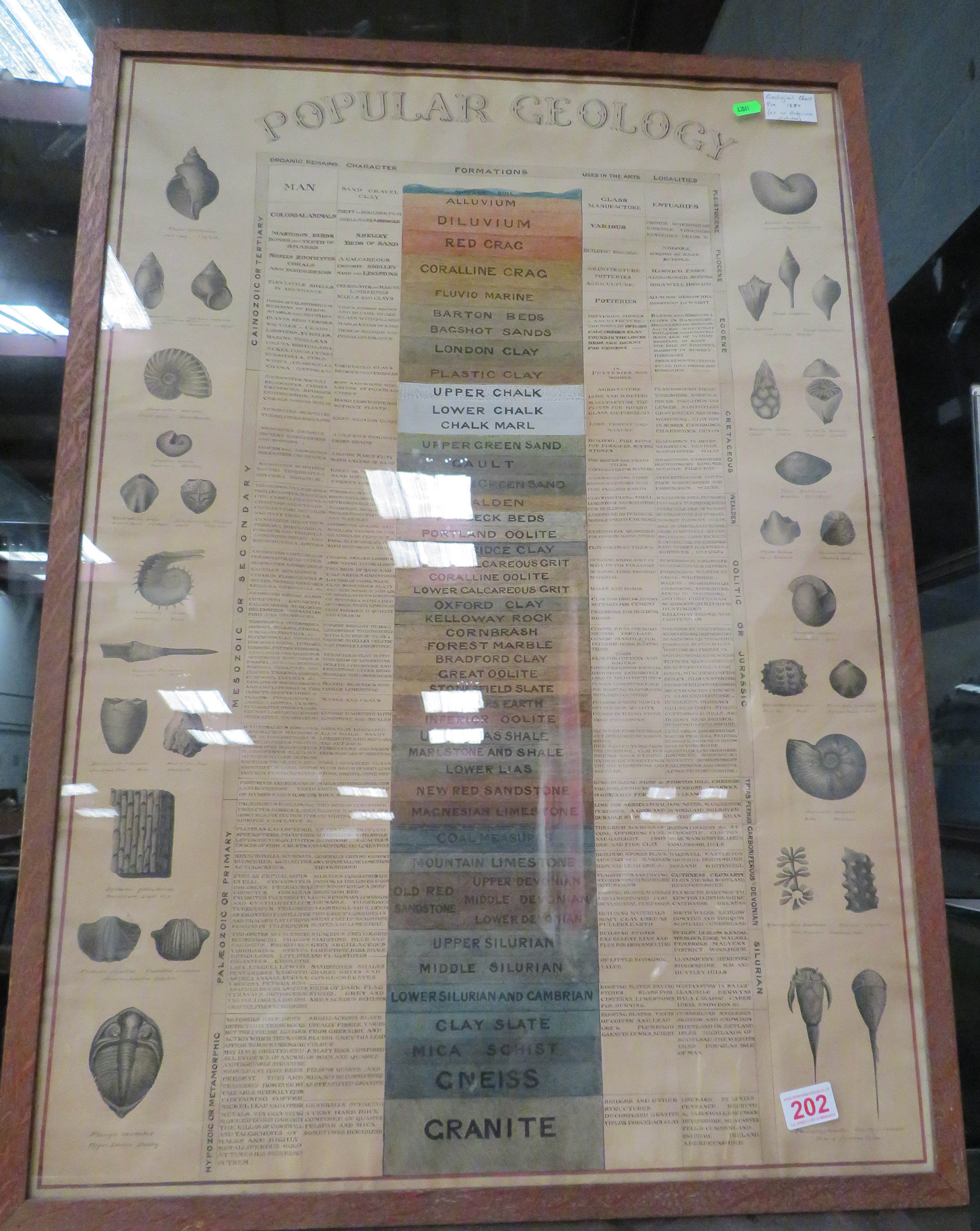 Pre-1879 Geological chart