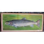 Large Salmon oil on board