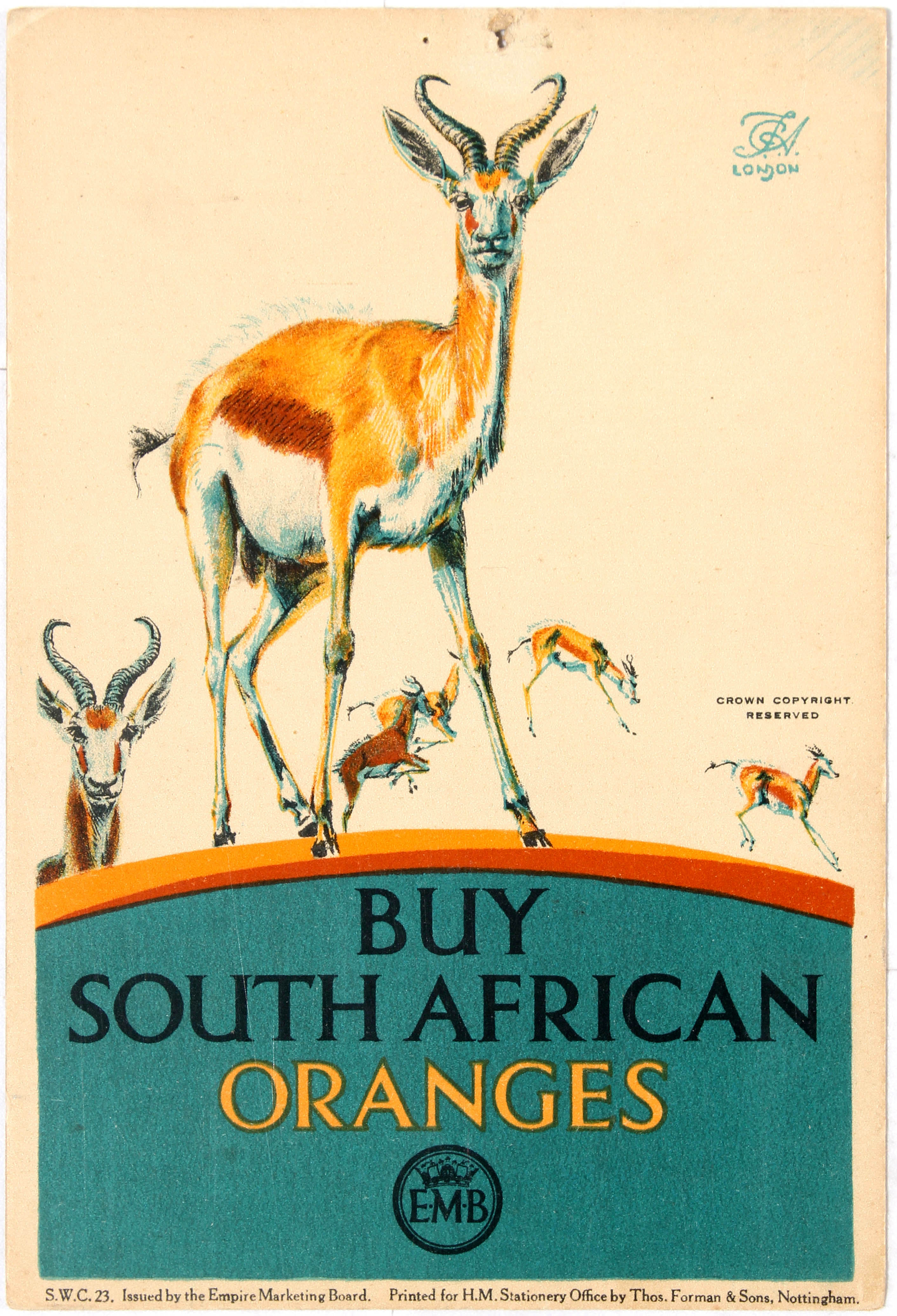 Advertising Poster EMB South African Oranges Gazelle F C Herrick