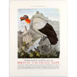 Advertising Poster Vulture Birds of The Pacific Andrew Jackson Grayson