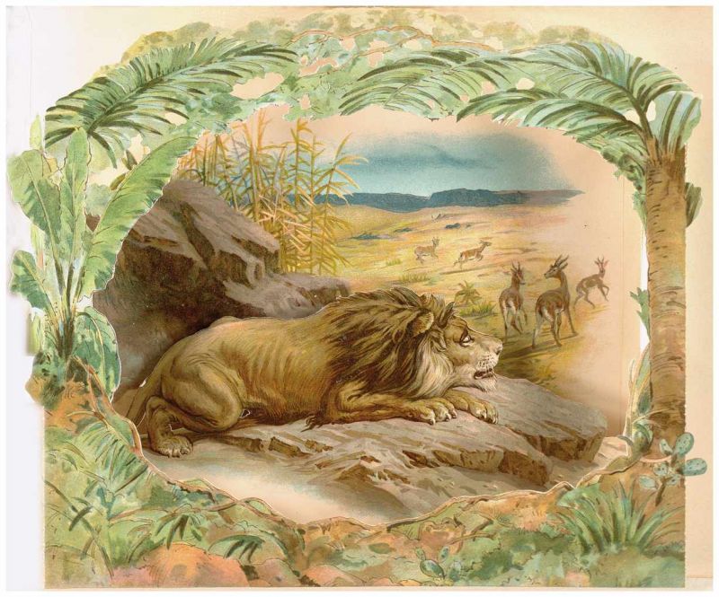 Wild Animal Stories. A Panorama Picture Bock. With an Introduction by G. Manville Fenn. London,