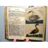 Ornithologie.- Wilhelm, G.T. Unterhaltungen aus der Naturgeschichte der Vögel erster (und zwyter)