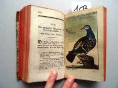 Ornithologie.- Buffon, (G.-L.L. de). Naturgeschichte der Vögel. Bd. 6. Brünn, Traßler, 1788. 524
