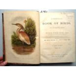 Ornithologie.- Jones, T.R. Cassell's Book of Birds. From the text of Dr. Brehm. 4 in 3 Bdn.
