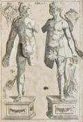 Hellwig, L.C.v. Nosce te ipsum, vel Anatomicum Vivum, Oder: Kurtz gefastes doch richtig gestelltes