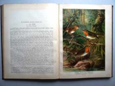 Ornithologie.- Naumann, J.A. Naturgeschichte der Vögel Mitteleuropas. Neu bearbeitet. Hrsg. von C.R.