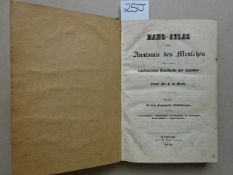 Bock, C.E. Hand-Atlas der Anatomie des Menschen nebst einem tabellarischen Handbuche der Anatomie.