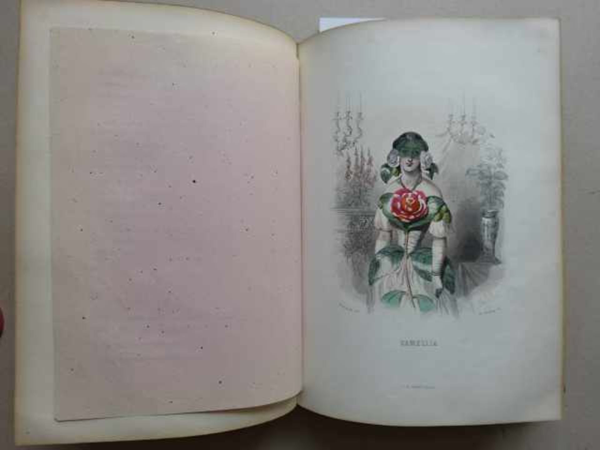 Grandville, J.J. (d.i. J.-I.-I. Gérard). Les Fleurs Animées. Introductions Par A. Karr, Texte Par T. - Bild 2 aus 4