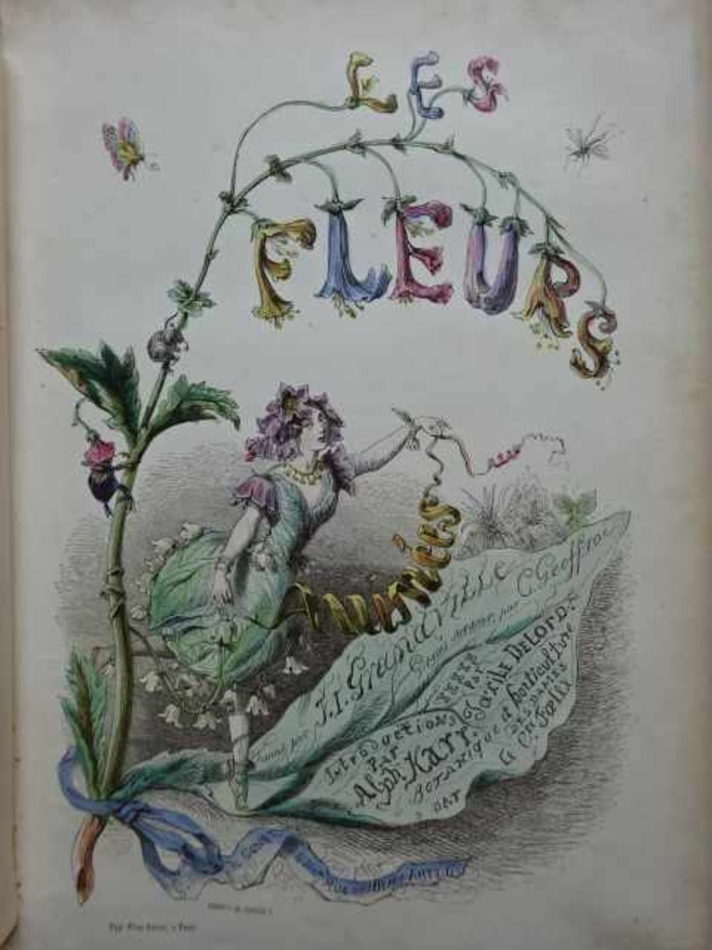 Grandville, J.J. (d.i. J.-I.-I. Gérard). Les Fleurs Animées. Introductions Par A. Karr, Texte Par T.