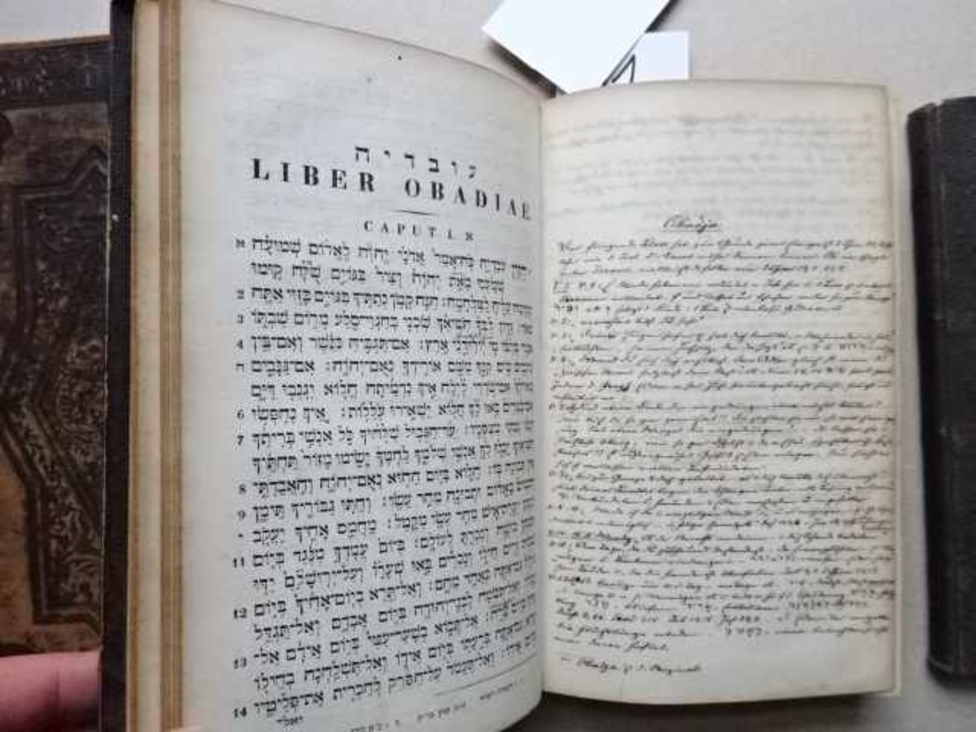 Judaica.- 3 hebräische Bibeln. London u.a., um 1830. Reich blindgepr. Ldr.- bzw. Lwd.-Bde. d. Zt. ( - Bild 3 aus 4