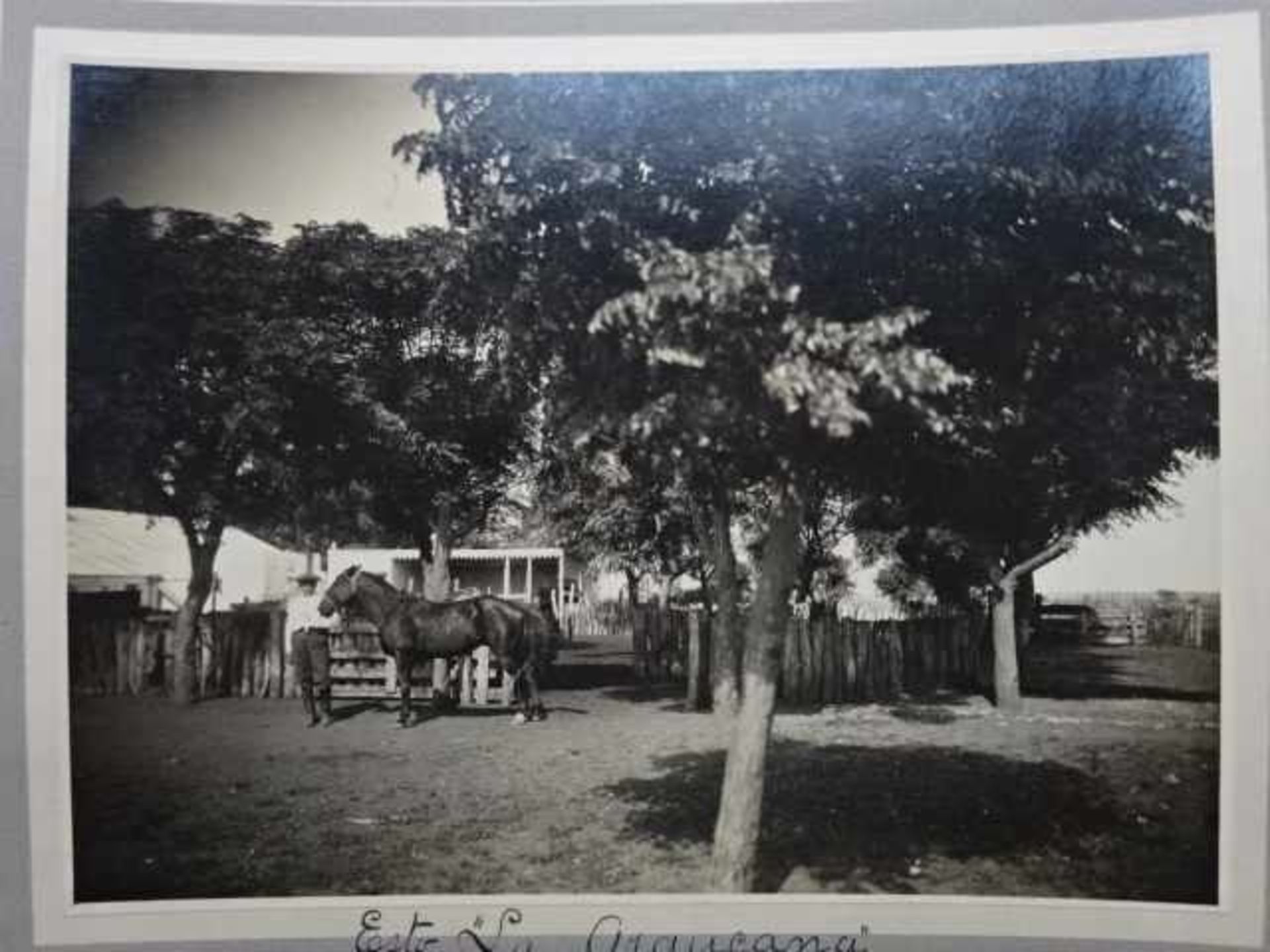 Amerika.- Argentinien.- 14 Originalfotografien (Silbergelatineabzüge). Um 1910. Unterhalb jeweils - Bild 4 aus 5