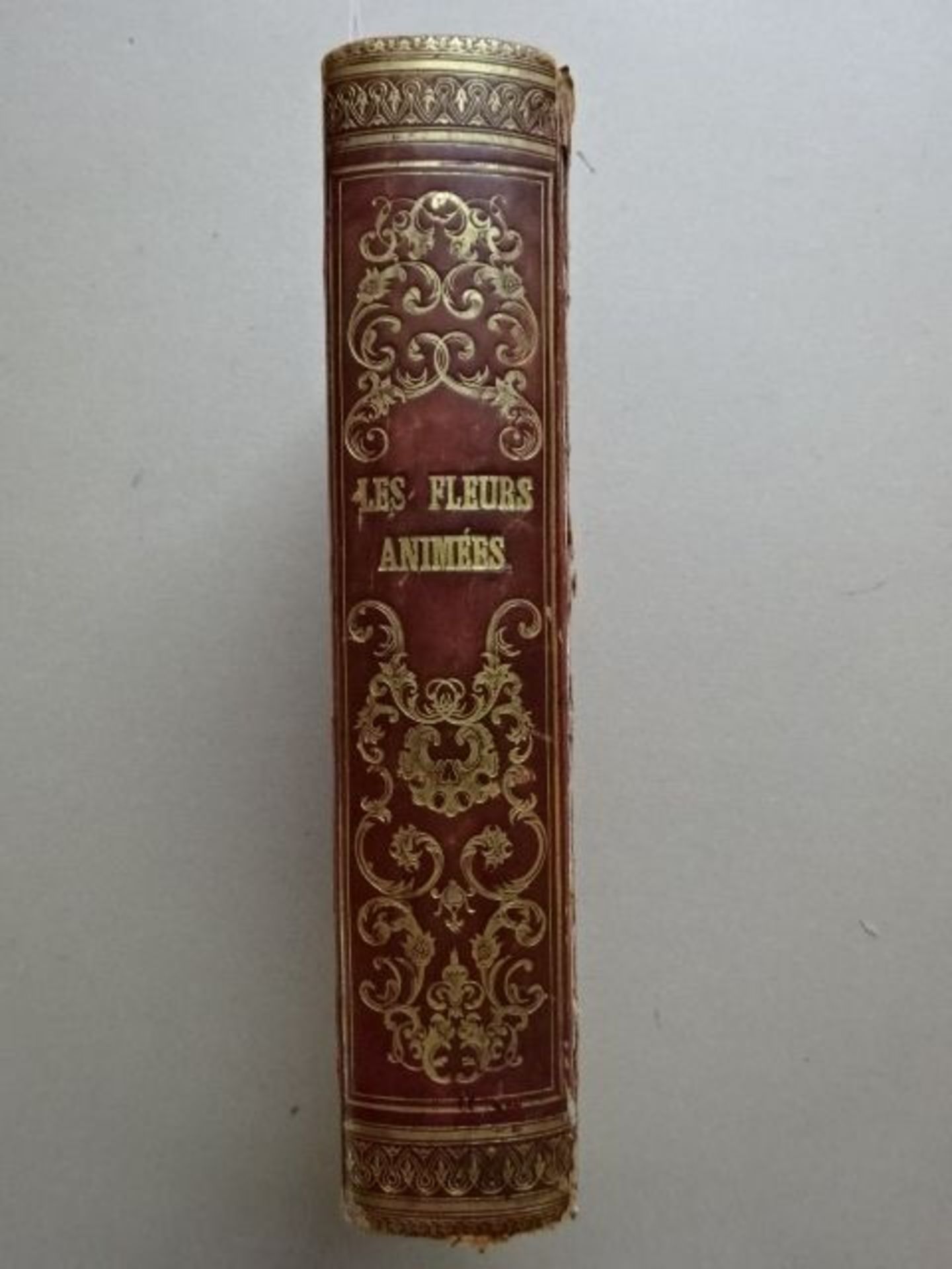 Grandville, J.J. (d.i. J.-I.-I. Gérard). Les Fleurs Animées. Introductions Par A. Karr, Texte Par T. - Bild 3 aus 4