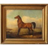 Emil Volkers (1831-1905)-attributed, Horse in landscape, described bottom right, framed35x40cm