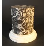 A marble collumn in ancient style with fossils on black stone, on white stepped marble base;