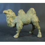 Chinese bronze sculpture of a camel with greenish patina; naturalistically sculpted. height 33cm,