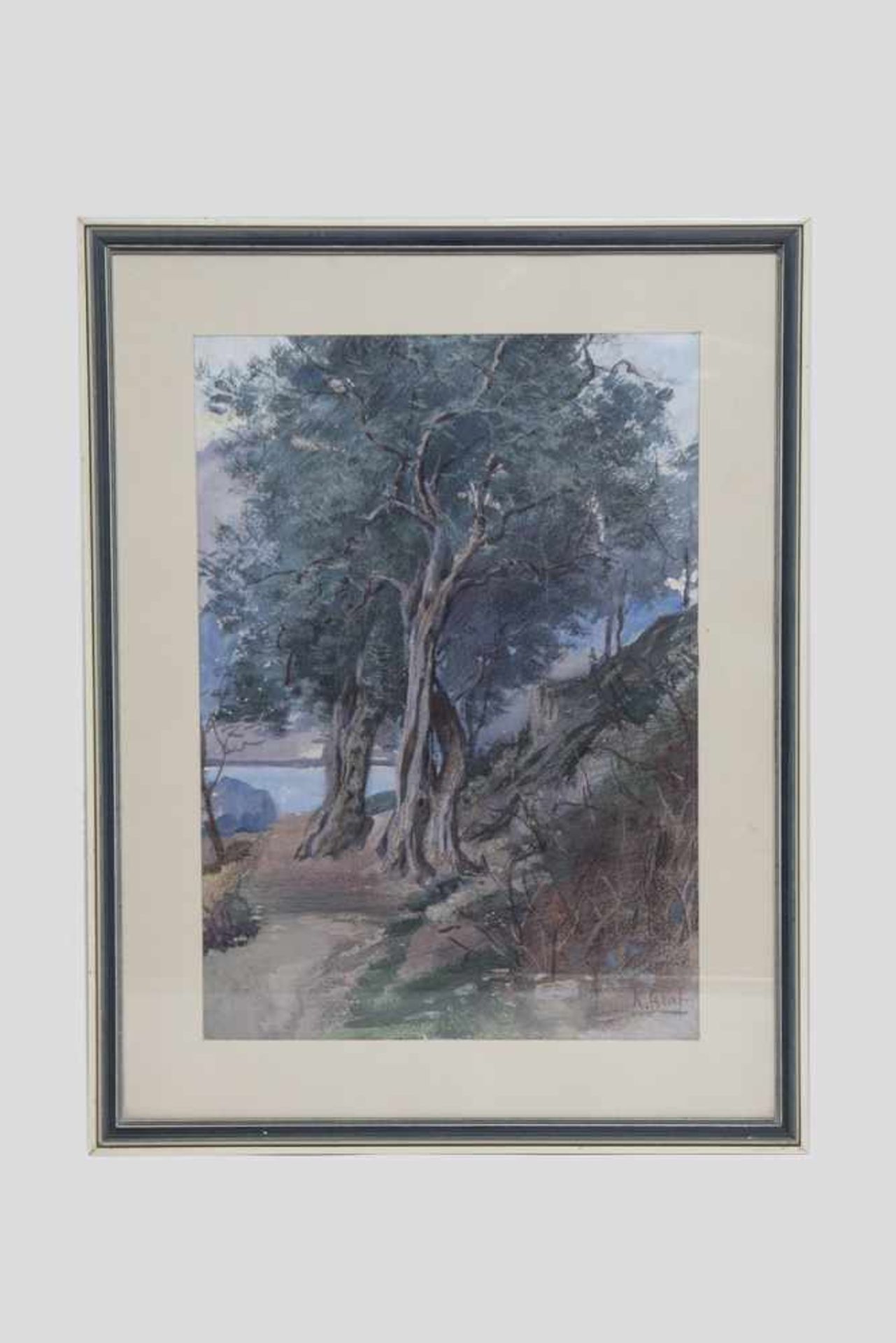 Karl Graf (Horn 1859-1925 Wr.Neustadt) Bäume, Aquarell, signiert K.Graf, 36x26 cm, in