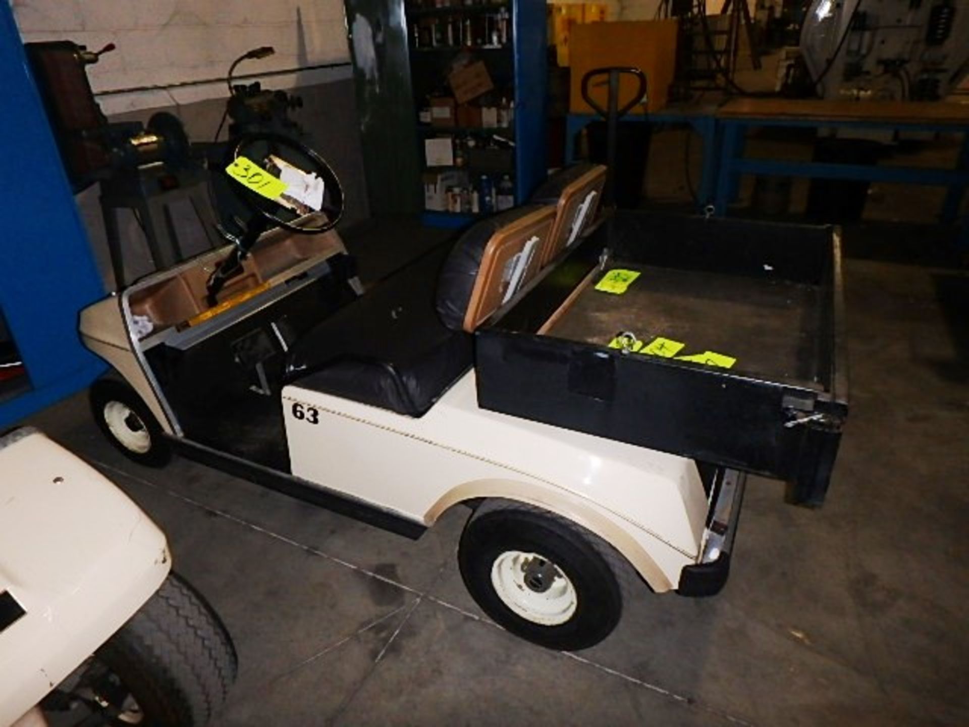 Golf Cart (no charger)