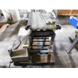 Ramsey Icore autolock 8000 Ramsey checkweigher with conveyor SN:99177286 :equipment located at Clark