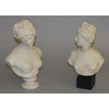 Two Poles marble busts. Tallest 37cm tall.