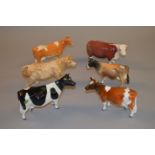 6 Beswick cow figures including Highland, Fresian and Hereford examples.