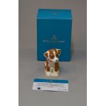 Royal Crown Derby limited edition "Colin The Puppy" specially commissioned paperweight with gold