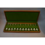 A cased set of twelve silver RHS flower spoons, H/M Sheffield 181/82,
