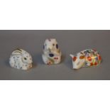 3 Royal Crown Derby Imari animal paperweights including a sleeping piglet with box.