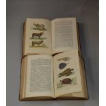 Buffon's Natural History Volumes One and Two. "Abridged A New Edition by The Rev. W. Buffon. M. A.