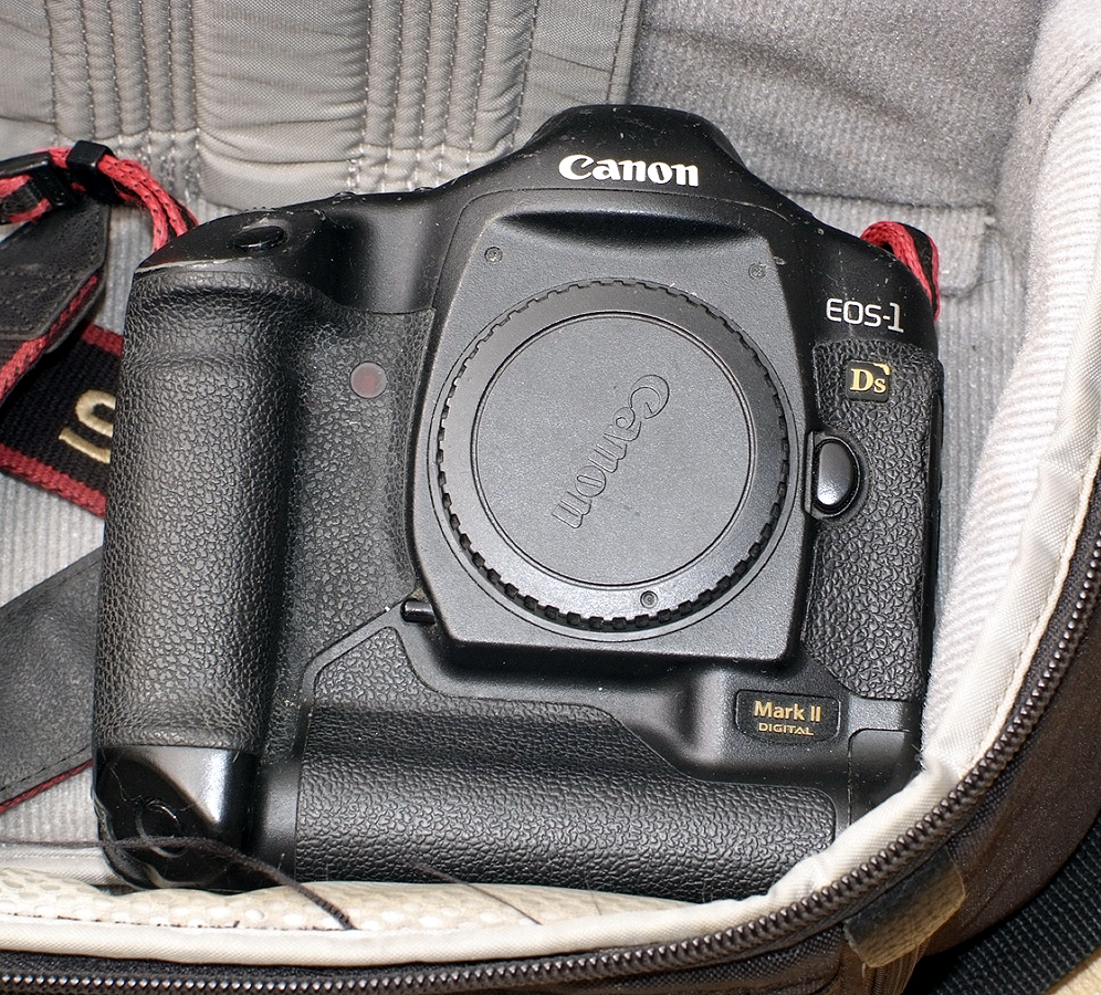 Canon EOS1 DS & Other Digital Cameras. - Image 3 of 3