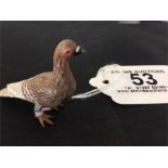 A miniature Austrian cold painted bronze racing pigeon approx 4 cm length
