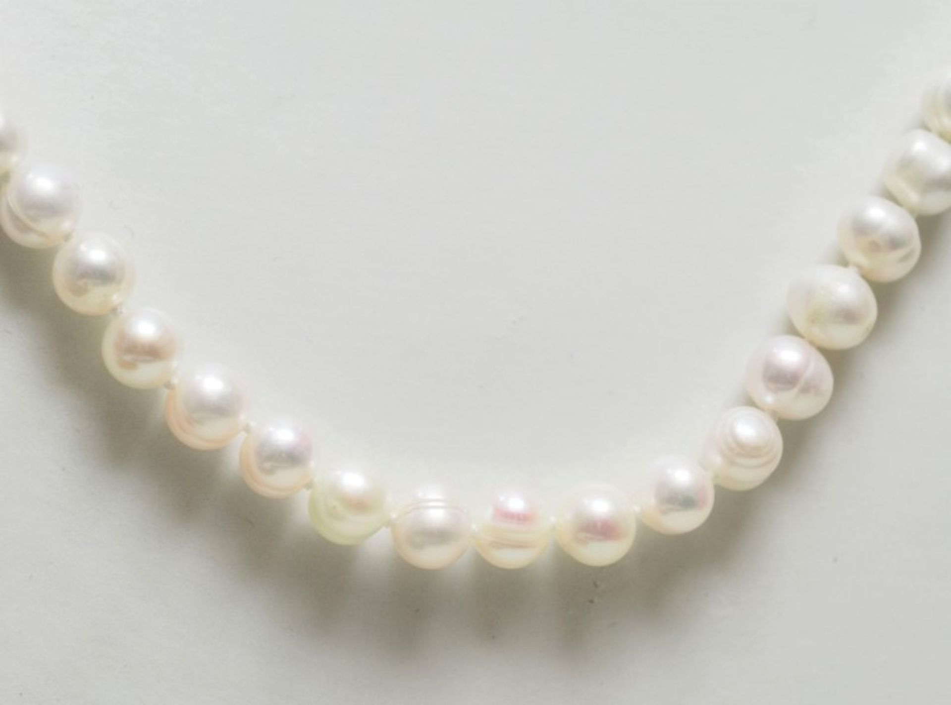 Sterling Freswater Pearl Neckalce Retail $180