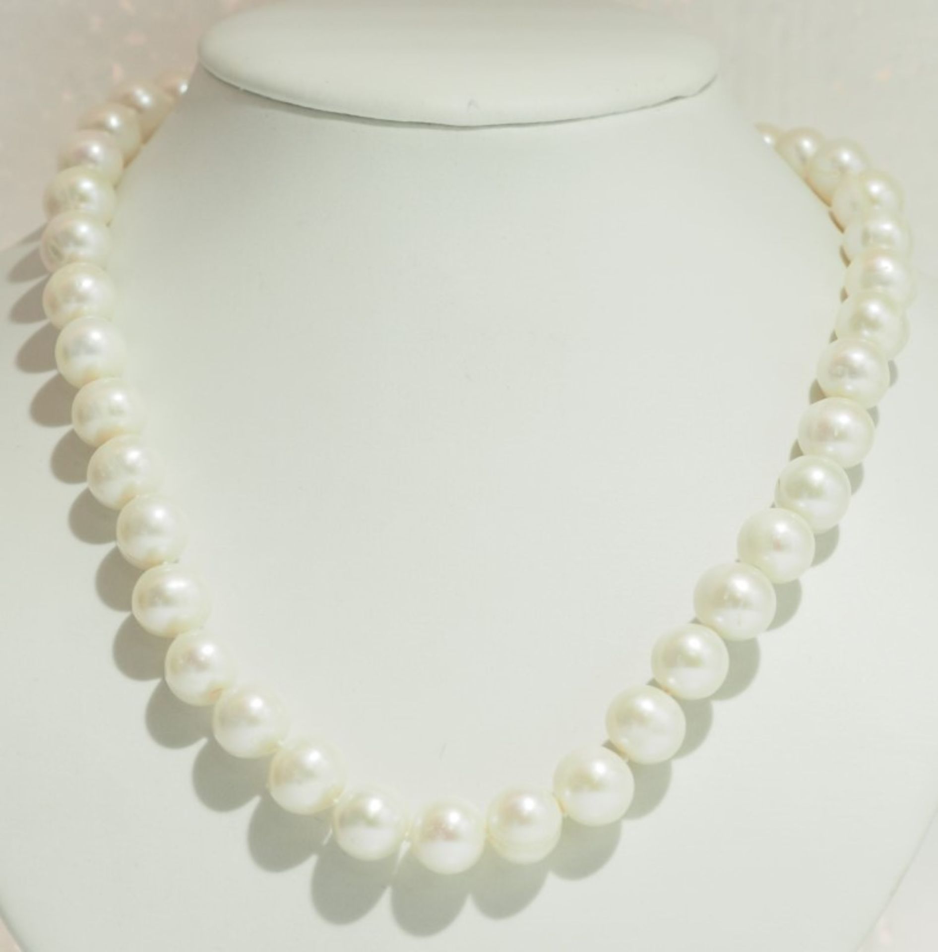 Freshwater Pearl Necklace(16in) with Sterling Silver Clasp Insurance Value $800 - Bild 2 aus 3