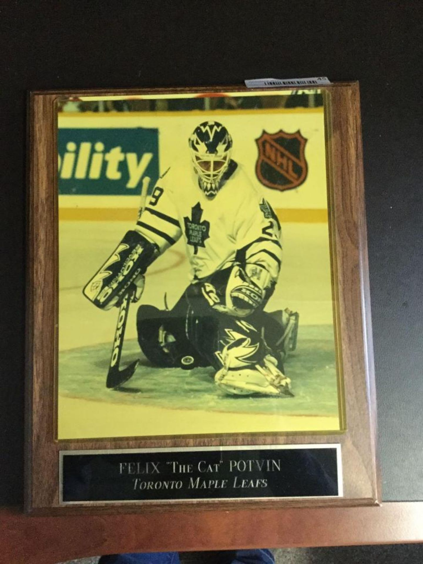 Felix "the cat" Potvin - Toronto Maple Leafs - Mounted Picture and plaque