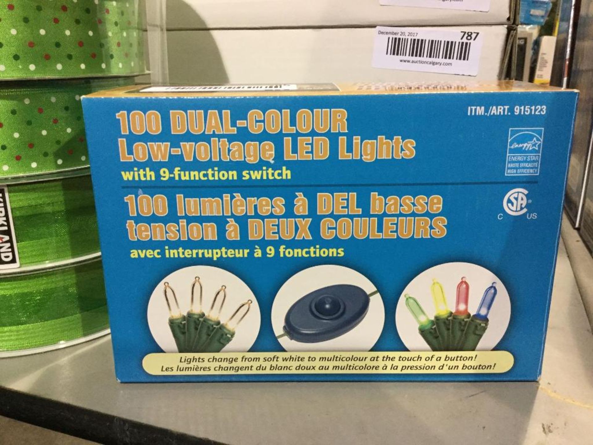 box of 100 Dual-colour Low-Voltage LED Lights with 9-function switch
