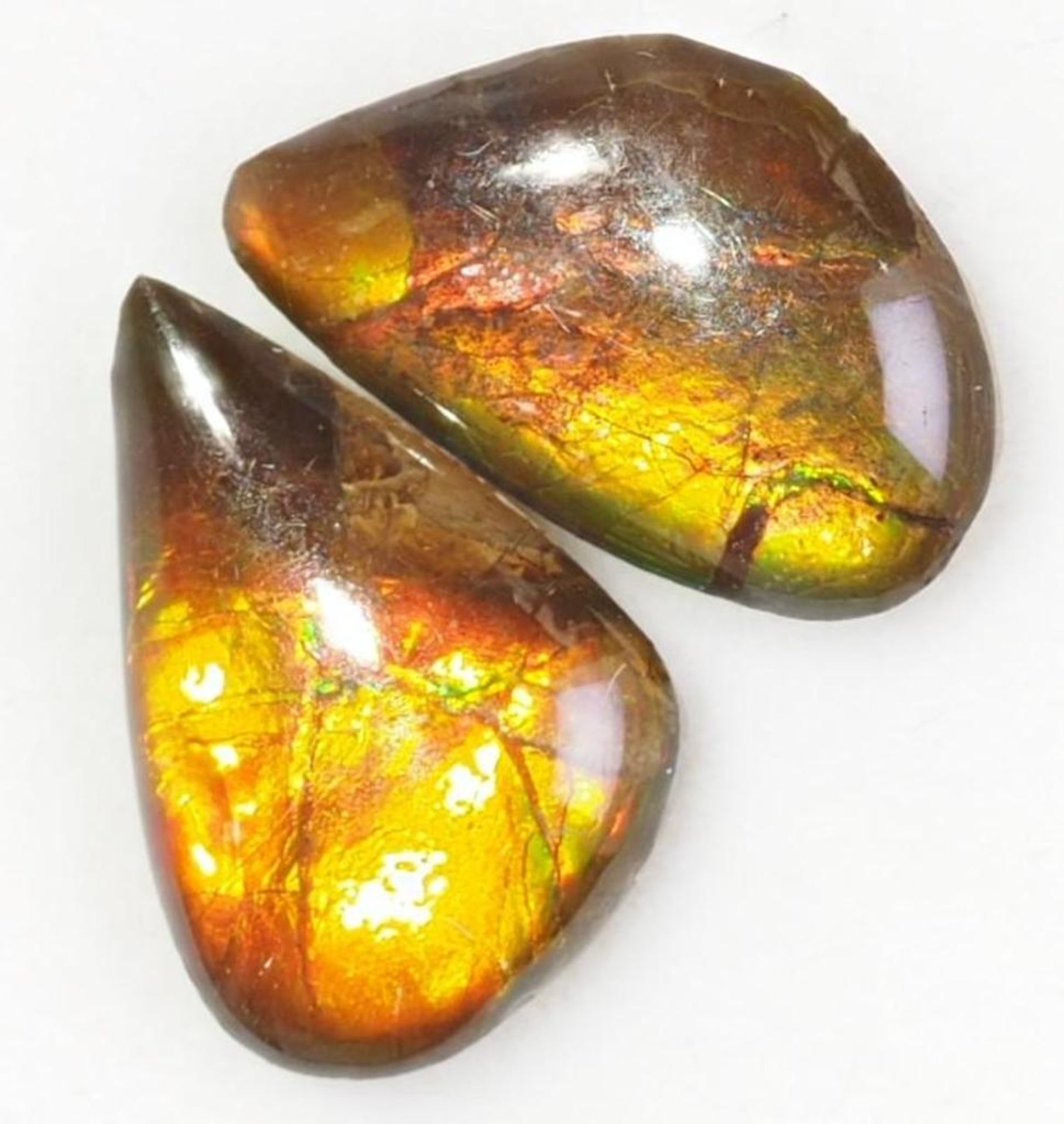 Ammolite Genuine Canadian Stone Retail $200