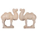 A pair of Oriental white marble carved camels, H 50,5 - 51 - D 17 - L 43,5 cm