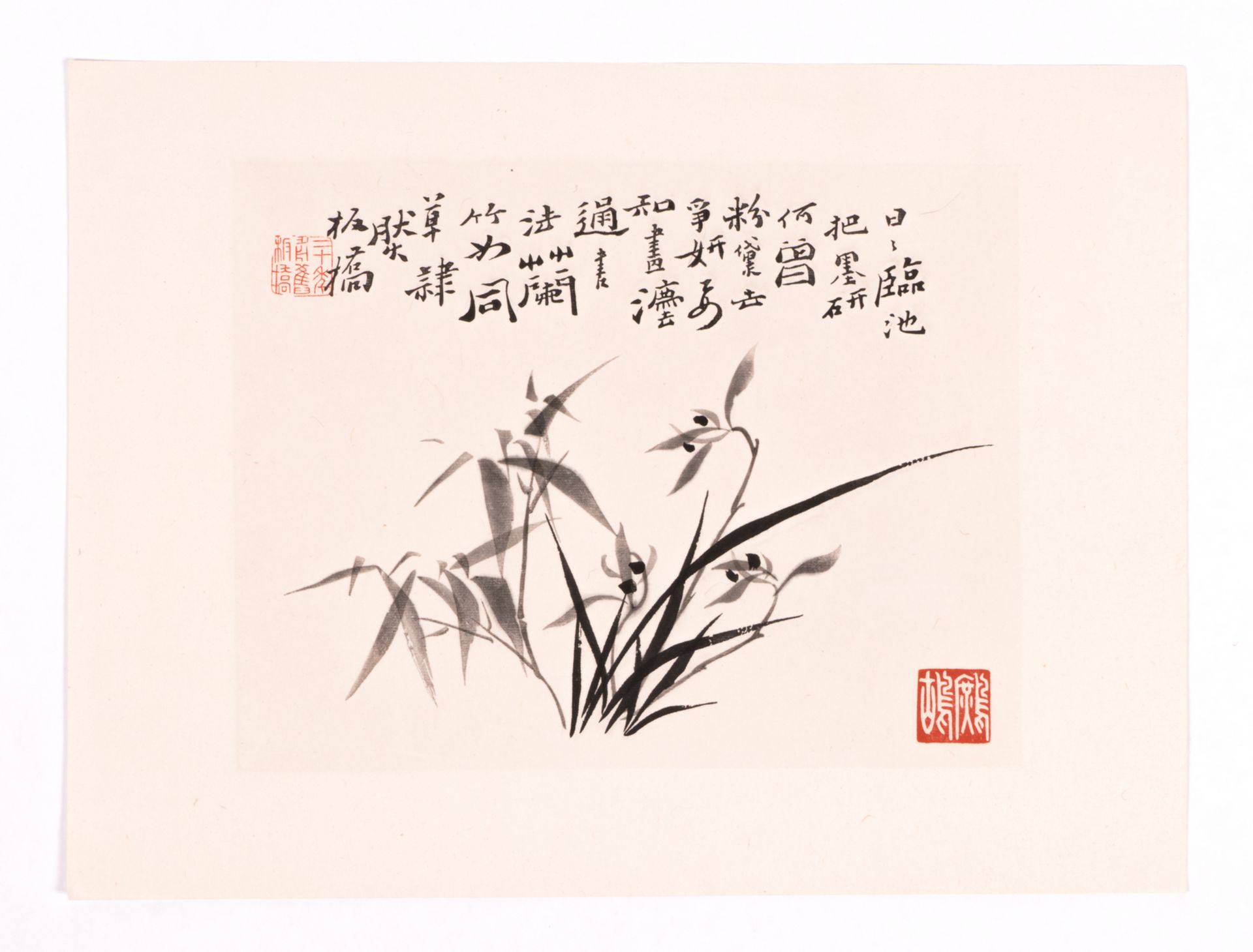 A luxurious art edition with seventeen Chinese (watercolours) + the frontispiece with calligraphic - Bild 17 aus 19