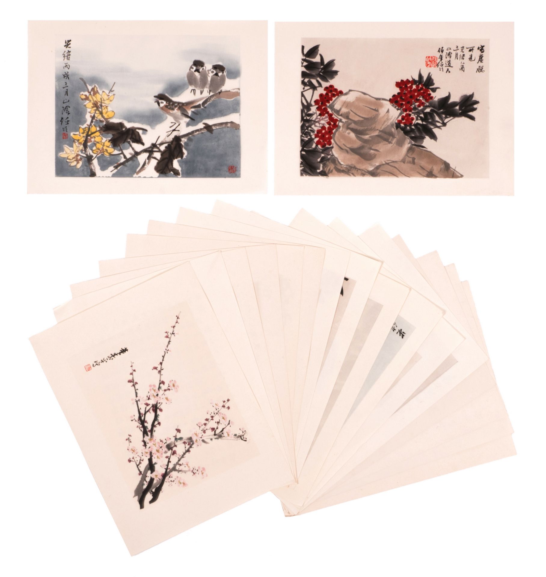 A luxurious art edition with seventeen Chinese (watercolours) + the frontispiece with calligraphic