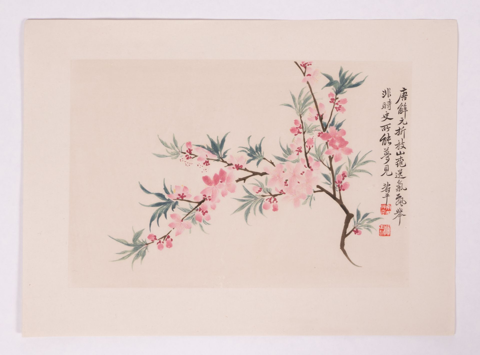 A lot of four Chinese woodcuts and two ditto watercolours depicting blossoms and flowers, 36,5 x - Bild 12 aus 18