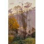 Claus E., a rural landscape on an autumn morning, oil on canvas, 74 x 117 cm
