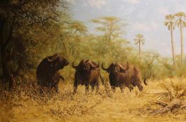 Michael GHAUI (1950), grasende Büffel in der Savanne. Öl auf Leinwand, signiert und datiert unten
