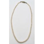 Zuchtperlen-Halskette, im Verlauf gefädelt, D 3 - 5,5 mm, Farbe: weiß, Lüster: sehr gut,