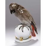 Porzellan-Tierplastik, "Papagei auf Kugel", Lorenz Hutschenreuther, Abteilung für Kunst Selb, um