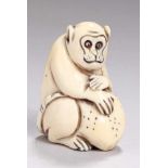 Elfenbein-Netsuke, "Affe mit Frucht", Japan, Meiji-Periode, vollplastische, hockende Darstellung