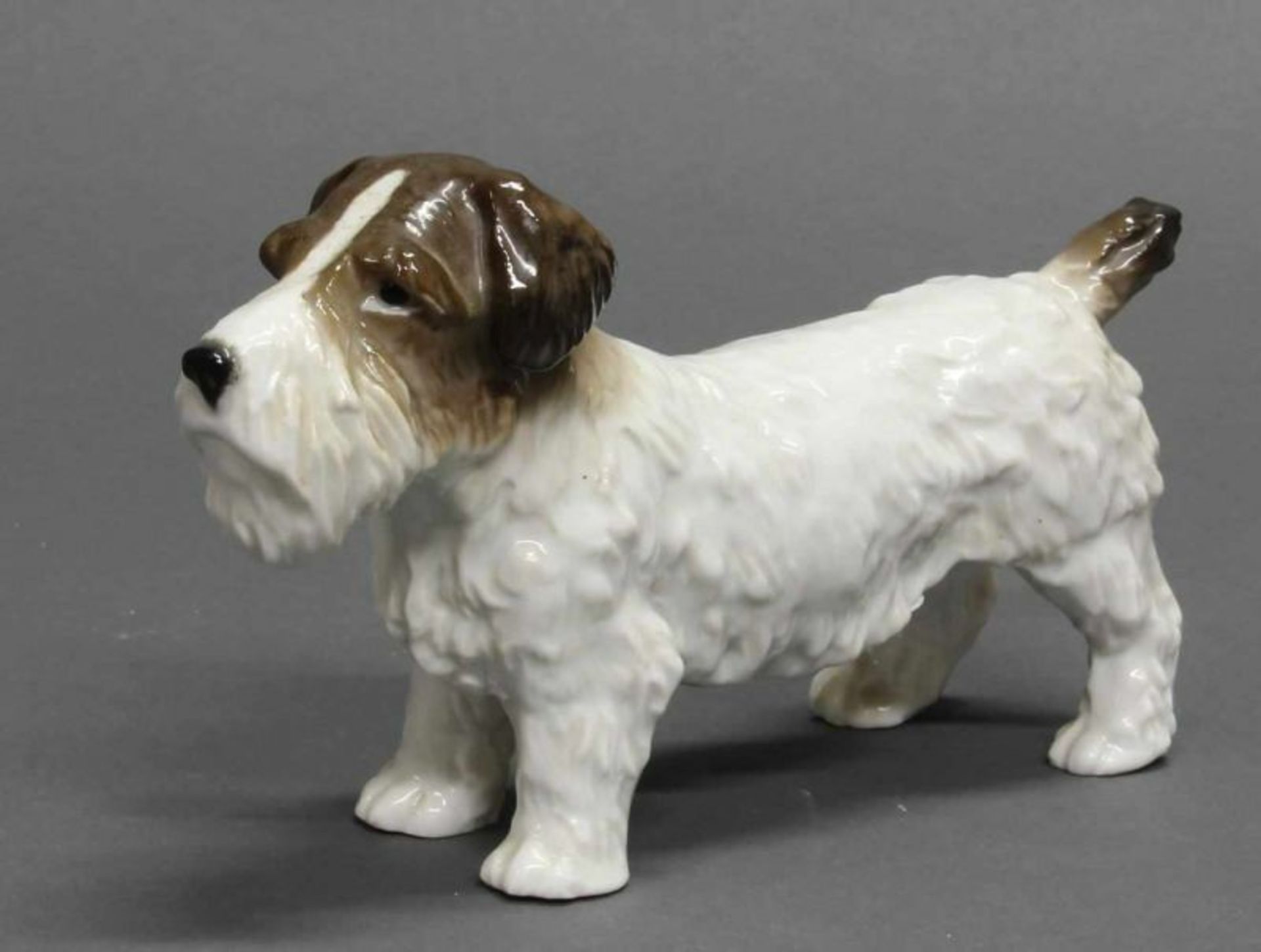 Porzellanfigur, "Terrier", Ens Porzellan, Volkstedt, polychrom, 10.5 cm hoch 20.00 % buyer's premium