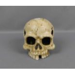 TOTENKOPF / MEMENTO MORI / SCHÄDEL / skull, Metall mit Kaltmalerei. Anatomisch-naturalistisch