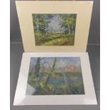 NECK, WERNER ROGER (1940), Paar Gemälde: "Frühlingslandschaft mit Gewässer und Gehöft", Öl auf
